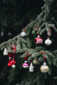 Kaboompics - Close-Up Evergreen Branch with Colorful Christmas Ornaments