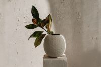 Kaboompics - Green and Brown Leaves in Textured Ceramic Vase Against Plaster Wall