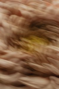 Kaboompics - Chrysanthemum Motion Blur Abstract Close-Up