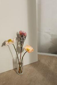 Kaboompics - Floral Still Life on Soft White Textile