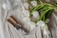 Kaboompics - White Tulip Stems and Garden Pruners in an Overhead Linen Still Life