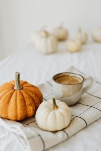 Kaboompics - Coffee Cup with Orange and White Pumpkins on a Checkered Blanket