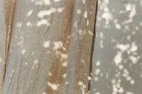 Kaboompics - Beige Sheer Curtain Background with Dappled Light