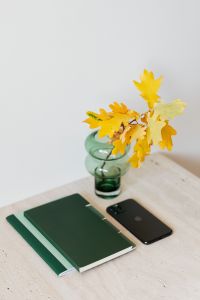 Kaboompics - Autumn Study Desk with Green Notebooks, Smartphone and Golden Leaves in a Glass Vase
