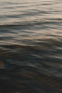 Kaboompics - Dark Sea Water Texture with Golden Light Reflection