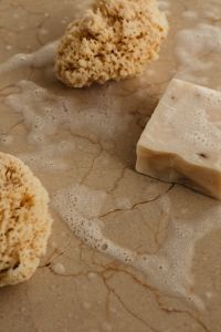 Kaboompics - Natural Sea Sponge and White Soap Bar in Close-Up