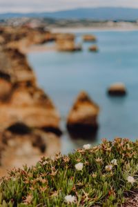 Kaboompics - Camilo beach (Praia do Camilo) in Lagos, Algarve, Portugal