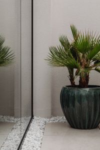 Kaboompics - Potted Palm by Glass Door on Rainy Patio