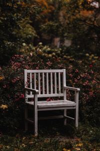 Kaboompics - Empty White Wooden Bench Among Flowering Garden Shrubs
