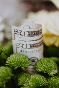 Kaboompics - Close-Up of 20 Dollar Bills Rolled among Green Flower Heads, Botanical Money Detail