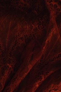 Kaboompics - Dark Rust Lace Fabric With Intricate Shadowed Texture