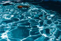 Kaboompics - Pineapple in a swimming pool