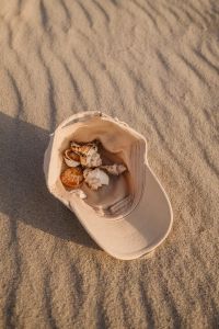 Kaboompics - Bucket of Seashells on Rippling Beach Sand