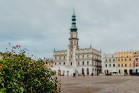 Kaboompics - Zamość Town Hall and Flowering Market Square