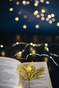 Kaboompics - Leaf, cook, fairy lights