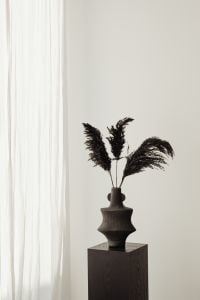 Kaboompics - Black Sculptural Vase with Dried Pampas Grass beside Sheer Curtains