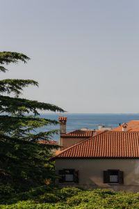 Kaboompics - Cedar Tree Framing the Adriatic Beyond Trieste's Terracotta Rooftops