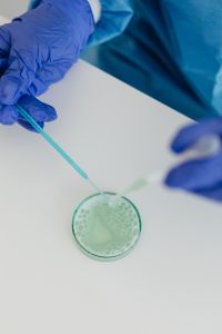 Kaboompics - Sterile Swab Above Green Petri Dish