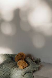 Kaboompics - Natural Sea Sponges on Green Textured Towel with Soft Window Shadows