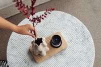 Kaboompics - Overhead View of Hand Arranging a Red Branch
