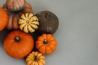 Kaboompics - Mixed Autumn Pumpkins Close-Up