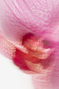Kaboompics - Pink Orchid Macro Soft Abstract Texture