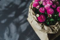Kaboompics - Beautiful pink flowers