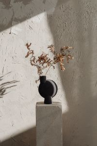 Kaboompics - Black Ceramic Vase with Dried Ferns Against Textured Plaster Wall