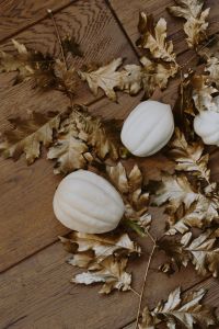 White pumpkins with golden oak leaves
