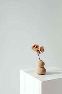 Kaboompics - Single Dried Rose in a Stacked Beige Ceramic Vase