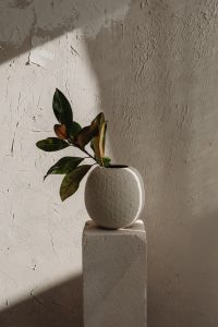 Kaboompics - Green and Brown Leaves in Textured Ceramic Vase on Plaster Pedestal