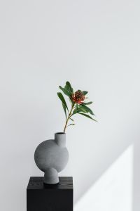 Kaboompics - Single Protea Stem in a Sculptural Gray Vase