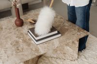 Kaboompics - Feather Duster Cleaning Books on a Marble Coffee Table