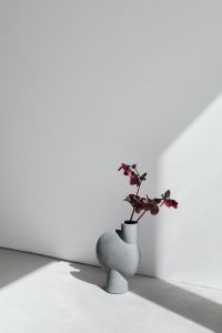 Kaboompics - Minimal Gray Vase and Burgundy Flowers with Negative Space