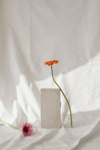 Kaboompics - Delicate Flower Arrangement on White Fabric