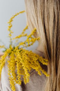 Kaboompics - Goldenrod Beside Blonde Hair in Soft Focus for Autumn Beauty Editorials