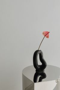 Kaboompics - Black Sculptural Vase with Single Anthurium on Chrome Pedestal