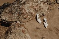 Kaboompics - White Mules in a Wide Beach Composition with Copy Space