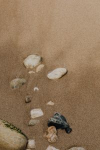 Kaboompics - Shells And Sea Stones Arranged On Sandy Beach
