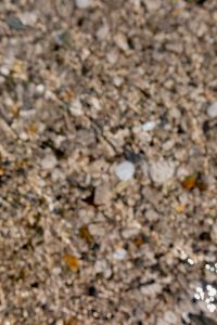 Kaboompics - Blurred Small Pebble Beach Texture in Neutral Coastal Tones