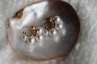 Kaboompics - Pearl and Gold Earrings in Seashell on White Fabric, Overhead Flat Lay