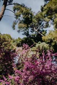 Kaboompics - The Buen Retiro Park in Madrid, Spain