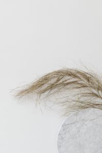 Kaboompics - Fine Dried Grass and Marble Close-Up for Beige Botanical Backdrops