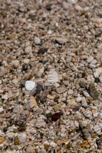 Kaboompics - Blurred Pebble Beach Close-Up with Natural Coastal Texture