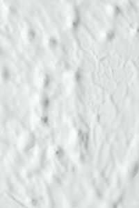 Kaboompics - White Painted Plaster Wall Texture with Raised Brush Strokes and Surface Imperfections
