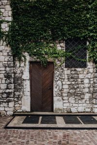 Kaboompics - Wooden Door in Ivy-Covered Krakow Stone Wall