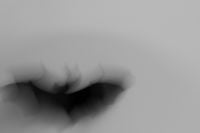 Kaboompics - Single Bat in Extreme Motion Blur