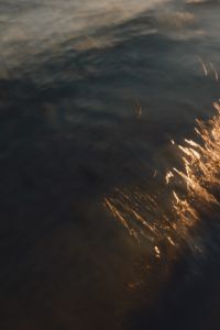 Kaboompics - Dark Ocean Water Texture with Golden Sunset Sparkle