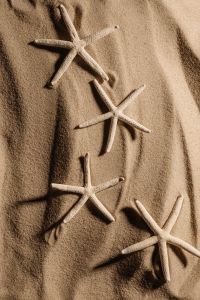 Kaboompics - Four Starfish on Textured Sand