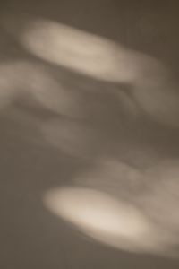 Kaboompics - Minimal Taupe Background with Soft Shadows